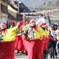 Jubiläumsumzug Schergässler